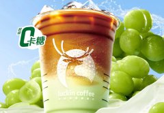 巴中瑞幸咖啡加盟费51万是不是真的-想开店就看这里!